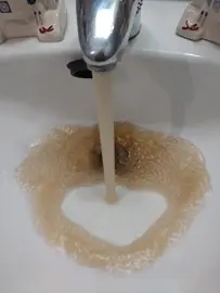 auga turbia o burgo