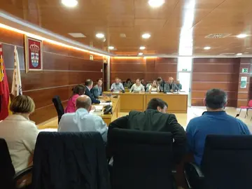 Pleno municipal xu&ntilde;o 2019
