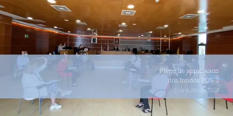 Pleno do 5 de xu&ntilde;o de 2020