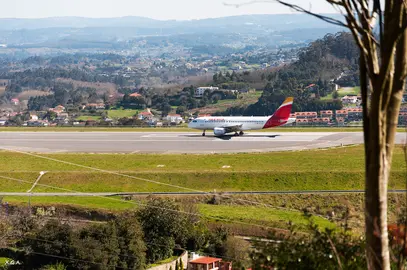 Avi&oacute;n Albedro