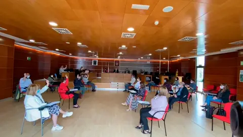 Pleno do 5 de xu&ntilde;o de 2020