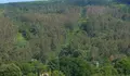 É válido o convenio coa Comunidade de Montes de Celas?