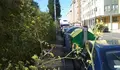 O BNG demanda responsabilidade do Goberno Municipal 