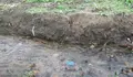 O BNG denuncia a destrución de espazos naturais na limpeza dos ríos Trabe e Regueira