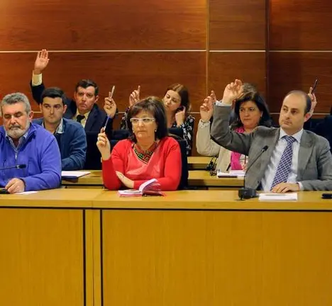 Votaci&oacute;n no Pleno Municipal de Culleredo