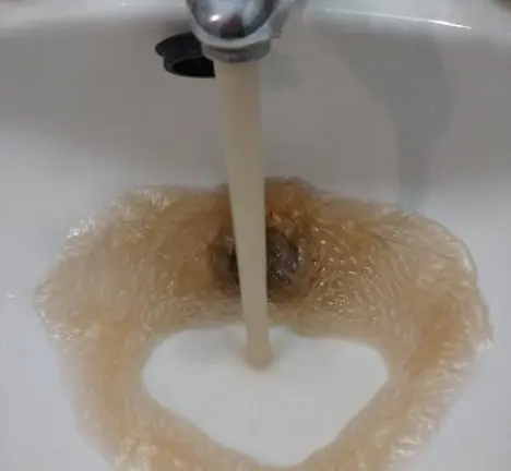 auga turbia o burgo