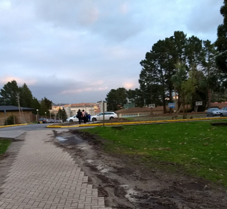 2018 01 11 laboral sen &aacute;rbores