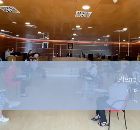Pleno do 5 de xu&ntilde;o de 2020