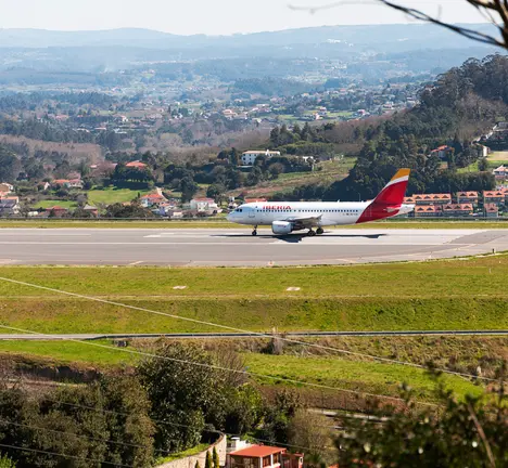 Avi&oacute;n Albedro
