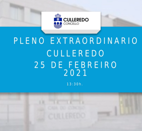 Pleno telem&aacute;tico de febreiro de 2021