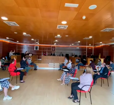 Pleno do 5 de xu&ntilde;o de 2020
