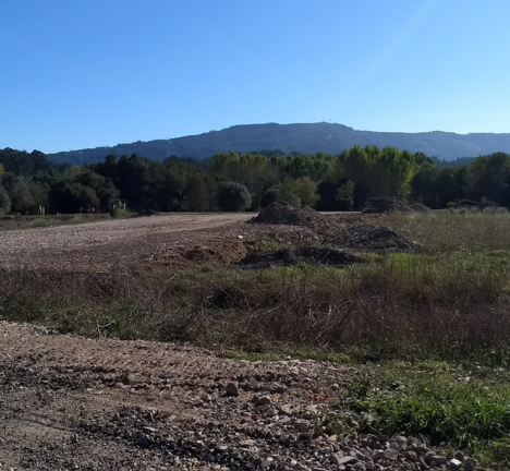 20171008 s&eacute;samo recheo r&iacute;o vali&ntilde;as